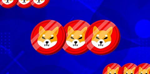 Missed Your Gains on Shiba Inu? Bitgert Might be The Chance For You to Take