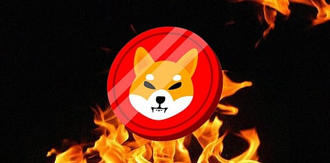 Lost A Chance to Become Millionaire in Shiba Inu? Bitgert is The Chance Now!