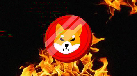 Shiba Inu Burning is the Major Factor Triggering Its Price! But for How Long?