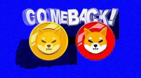 Shiba Inu Hints A Possible Comeback! Is Shiba Army Ready?