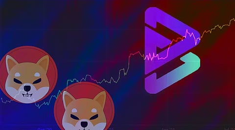 Shiba Inu Hype got Overtaken by Bitgert in The Past 30 Days