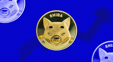 Shiba Inu Millionaires Now Join Bitgert, Price Up By +70%