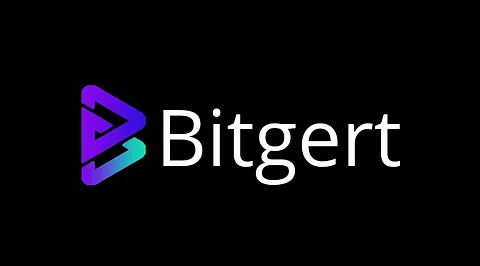 Bitgert Price Analysis Report Says It Might Reach $0.0001