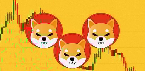 How to Buy Shiba Inu in the USA