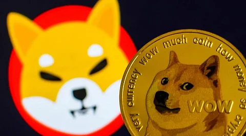 Shiba Inu (SHIB), Dogecoin (DOGE), and SeeSaw (SSW) to Provide King Sized Returns