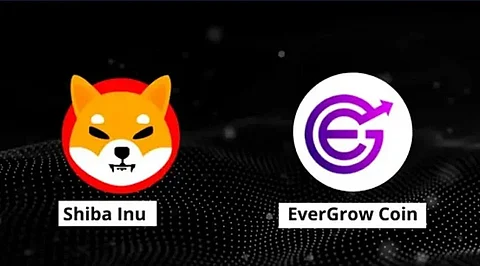 Shiba Inu (SHIB) and EverGrow Coin (EGC) to Give High Returns in 2022