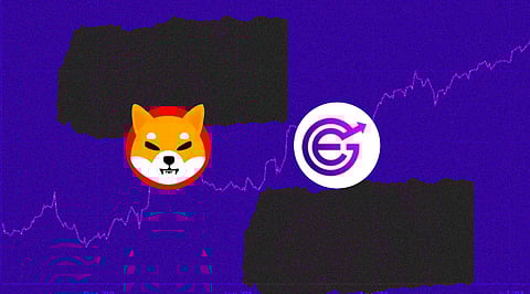 Shiba Inu and EverGrow Coin will Moon as Billions of Coins Burned