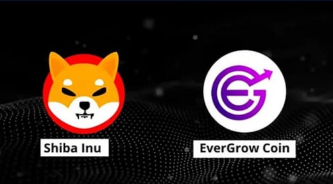 Shiba Inu and EverGrow Coin Nearing a ‘Break Out’ Analysts Say