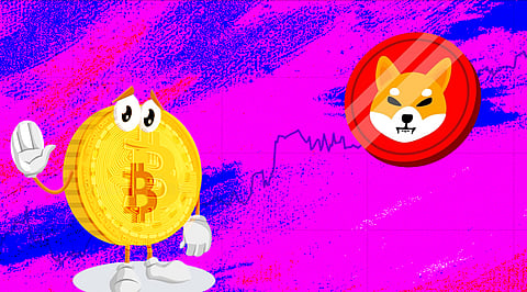 Shiba Inu could be the next ‘Crypto Gold’! Goodbye Bitcoin
