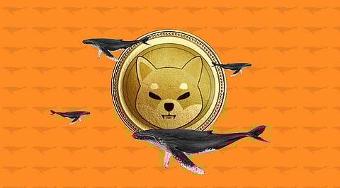 Shiba Inu is Crowded with Whales. What Awaits the Crypto in Q2?