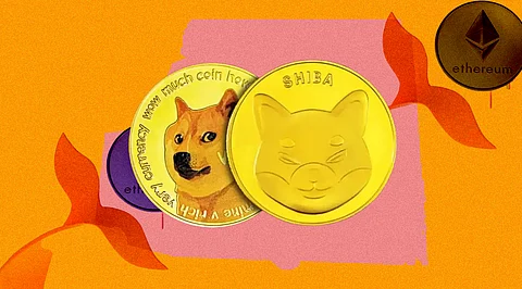 Shiba Inu is the Secret Residence of Many Ethereum Whales