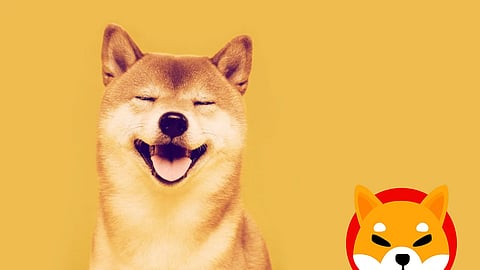 Shiba Inu Has Lost Over 100k Holders in The Past 120 Days