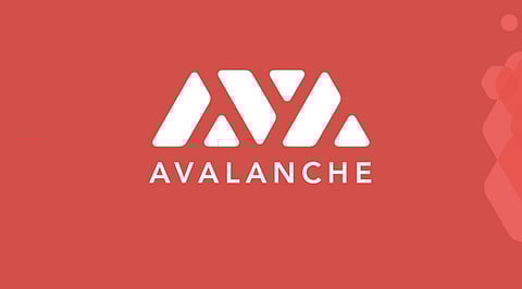 Avaxminers.com : The AVAX MINE Pool with the Highest daily return and lowest dev fee