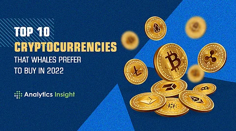 Top 10 Cryptocurrencies that Whales Prefer to Buy in 2022