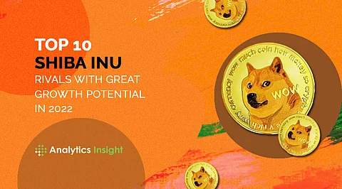 Top 10 Shiba Inu Rivals with Great Growth Potential in 2022