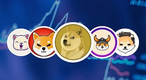 What Top Meme Coins Will Explode this year?