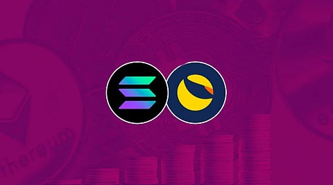 Why Crypto is the Way to Become a Millionaire – Solana (SOL), Terra (LUNA), and Calyx Token (CLX)