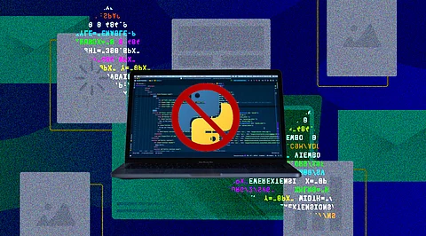 Why Python is not the Right Language for your massive Project?