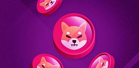 Does Shiba Inu Has A Proven 100x Potential? Bitgert Do Have 1000x Proven Potential