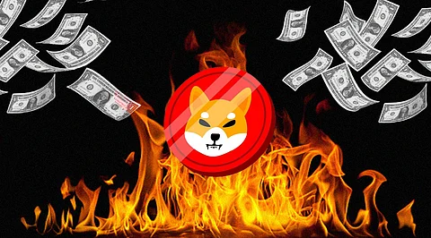 Shiba Inu Burning Mechanism is the New Strategy to Earn Money