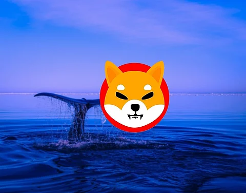 Shiba Inu Whales Accumulate Bitgert Worth $2M USD