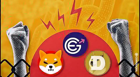 3 Top Cryptos to Buy in 2022 – Shiba Inu, EverGrow Coin and Cardano