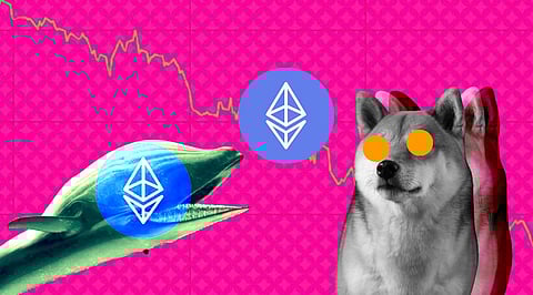 Are Ethereum Whales Planning to Yield Their ETH Loss from Shiba Inu?