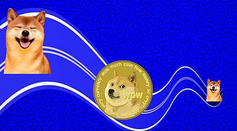 Can Shiba Inu Ever Take the Same Road as Terra! A Big No