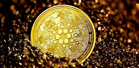 Cardano Indicates Bearish Movements, While Bitgert Remains Strong