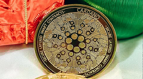 Cardano Community Will Buy More Bitgert (BRISE) this July – crypto Experts