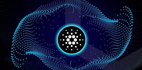 If You Hold Cardano (ADA) Then, You Would Definitely Love Bitgert