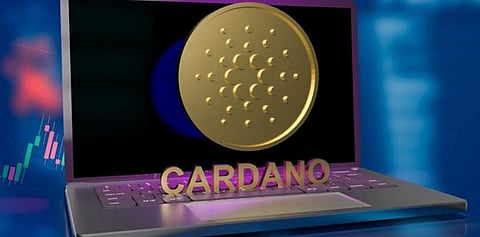 Cardano Lovers Should Check out Bitgert