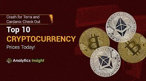 Crash for Terra and Cardano: Check Out Top 10 Cryptocurrency Prices Today!