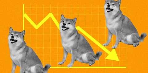 If You Love Shiba Inu, This New Market Leader Is Worth Taking A Look