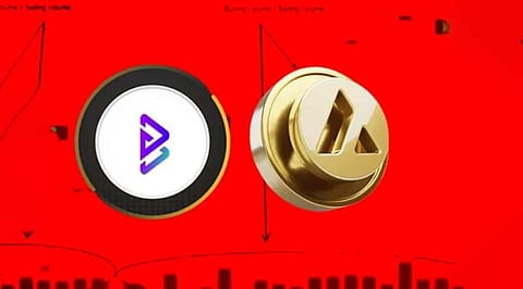 Good Time to Buy Avalanche or Bitgert – Says Crypto Masters