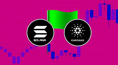 Green Flag in Cardano, Solana: Rising Cryptocurrency Prices Today!