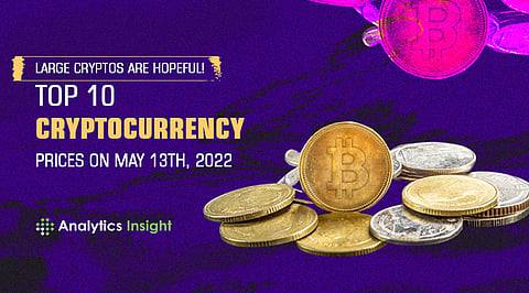 Large Cryptos Are Hopeful! Top 10 Cryptocurrency Prices on May 13th, 2022