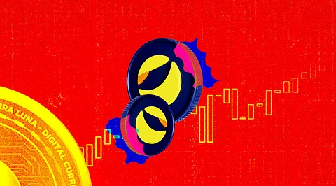 Luna has Emerged as the Biggest Winner of the Recent Crypto Bloodbath