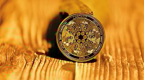 Are these 3 Cryptocurrencies the Future of the Crypto Industry? Pac-Man Frog (PAC), Cardano (ADA), and Litecoin (LTC)