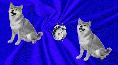 Shiba Inu Could Face a Similar Fate as Terra, Crypto Experts Alarm