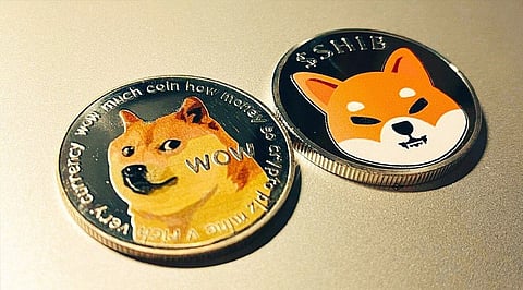 Shiba Inu and Dogecoin Volatility Has Spiked This Month As Bitgert Remains Stable