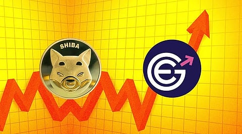 Should be hodling Shiba Inu and EverGrow Coin?
