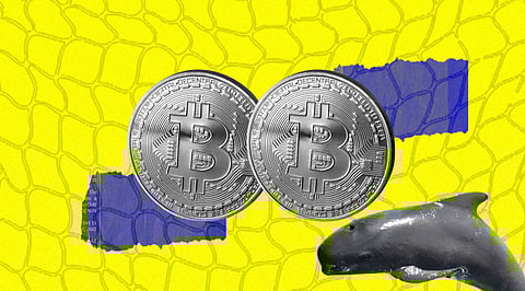 Small Whales could be the Biggest Factor Holding Bitcoin Price above US$27K