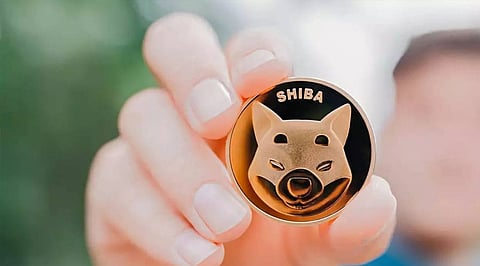 The Best Places to Buy Shiba Inu Coin