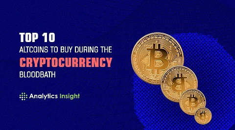 Top 10 Altcoins to Buy During the Cryptocurrency Bloodbath