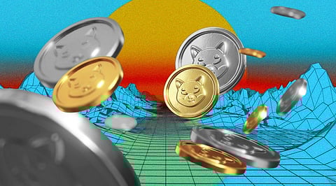 What Next for Shiba Inu and EverGrow Coin Metaverses?