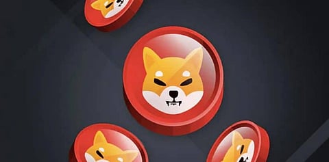 Major Chains are Concerned About Bitgert Zero Gas Fee Blockchain