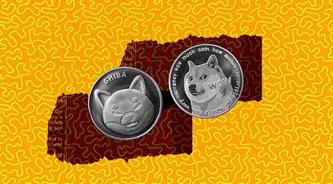Why Dogecoin (DOGE) and Shiba Inu (SHIB) could Collapse Next?