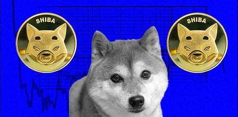 If This Happens, Shiba Inu Might Collapse