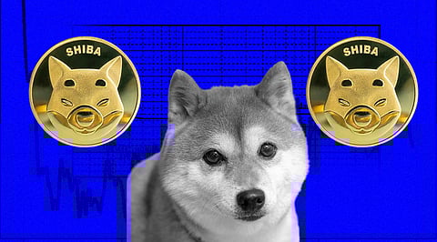 Will Shiba Inu Follow Terra’s Suit and Head Towards a 99% Fall?